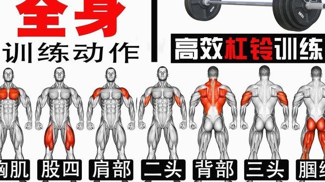 甘慧：盖伊手术成功，已回基地开始康复训练