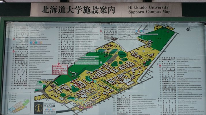 前法足协主席驳斥“齐达内接档”传闻：德尚表现更胜一筹