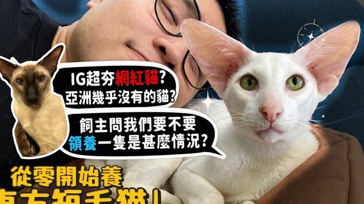 先卖关子后大反转，克洛普戏剧化官宣参加世界杯