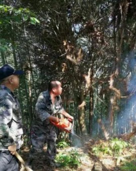 每体：森保一祭出超现实指挥法，巨大数字板隐藏战术密码