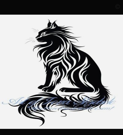赵松源：怪才探秘