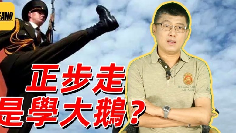 董老师六战全负引争议